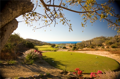 Top Reasons to Golf in Los Cabos, Mexico 